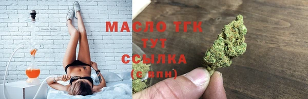 молекула духа Богданович
