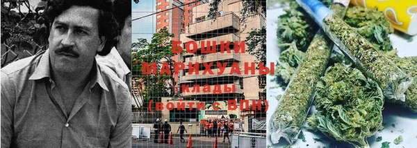 сатива Сосновоборск