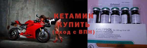 молекула духа Богданович