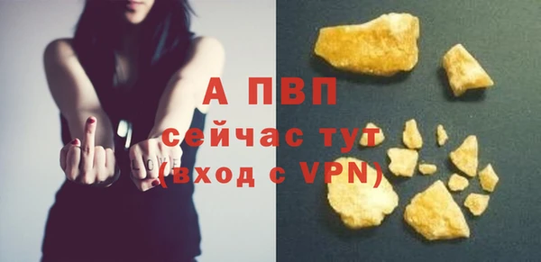молекула духа Богданович