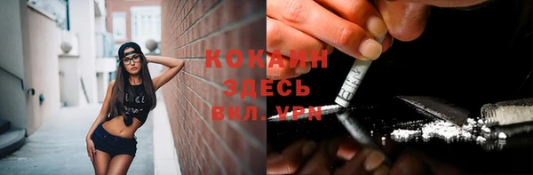 молекула духа Богданович
