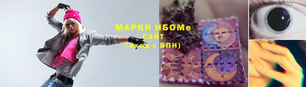 молекула духа Богданович