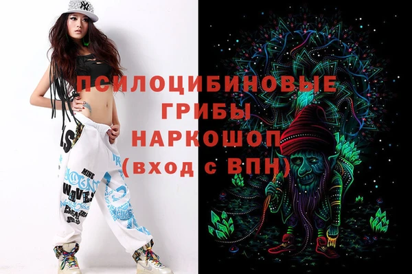 ешки Богородск