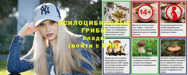 соль ск Богородицк