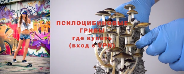 ешки Богородск