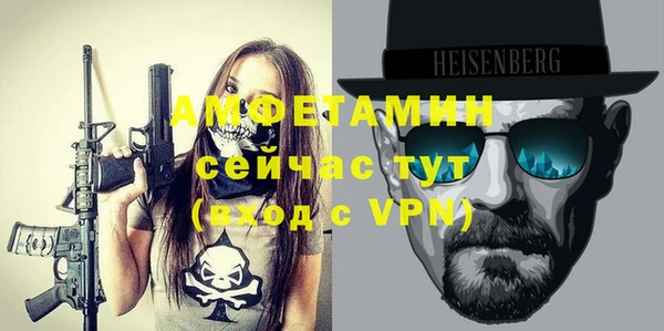 молекула духа Богданович