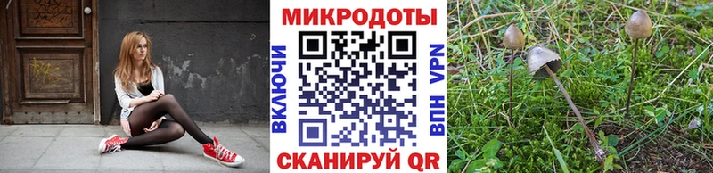Галлюциногенные грибы ЛСД  Туапсе 